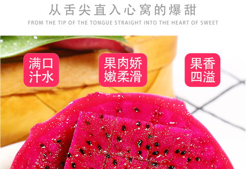 金都一號蜜寶紅心火龍果 現摘新鮮，甜蜜直達